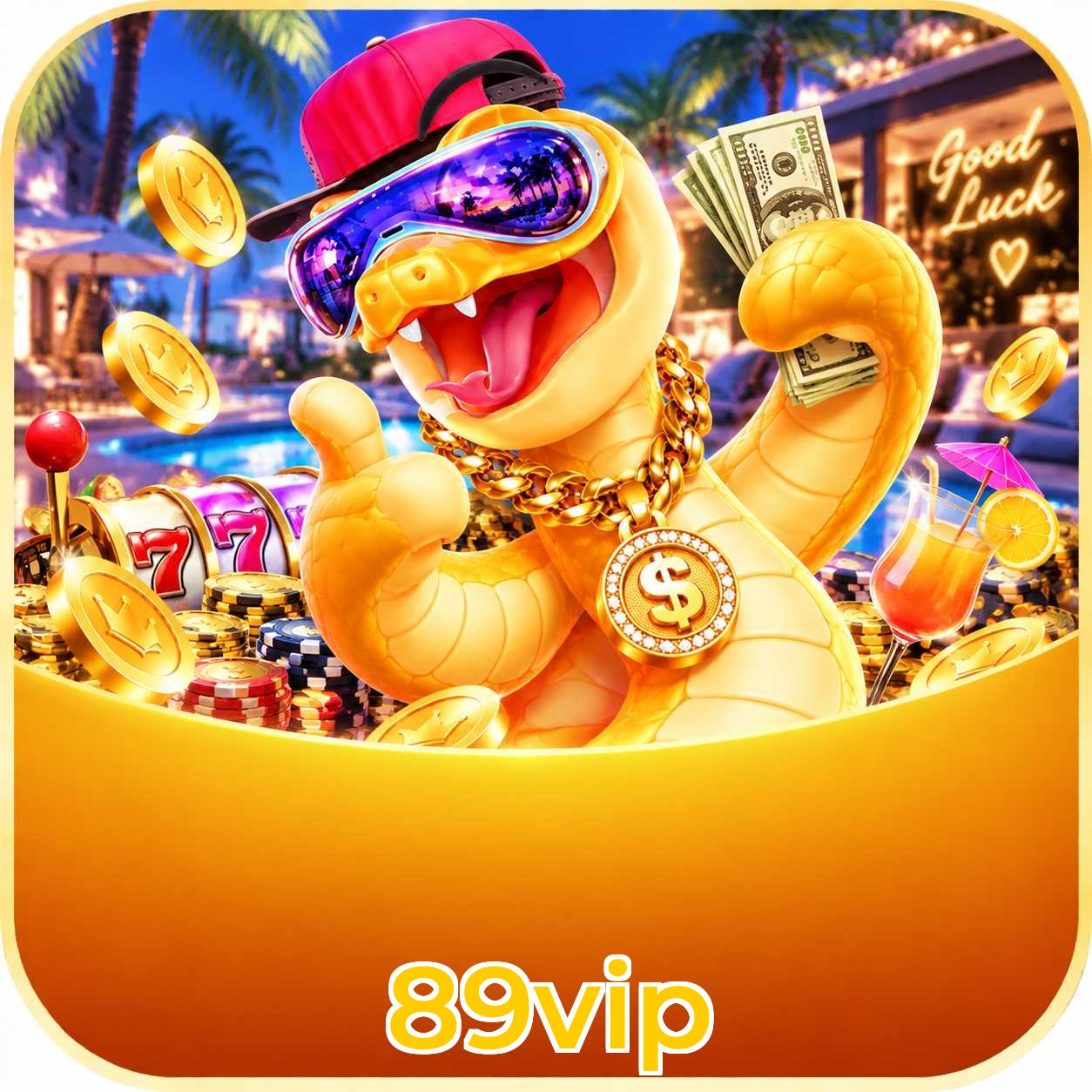 89vip App FAQ